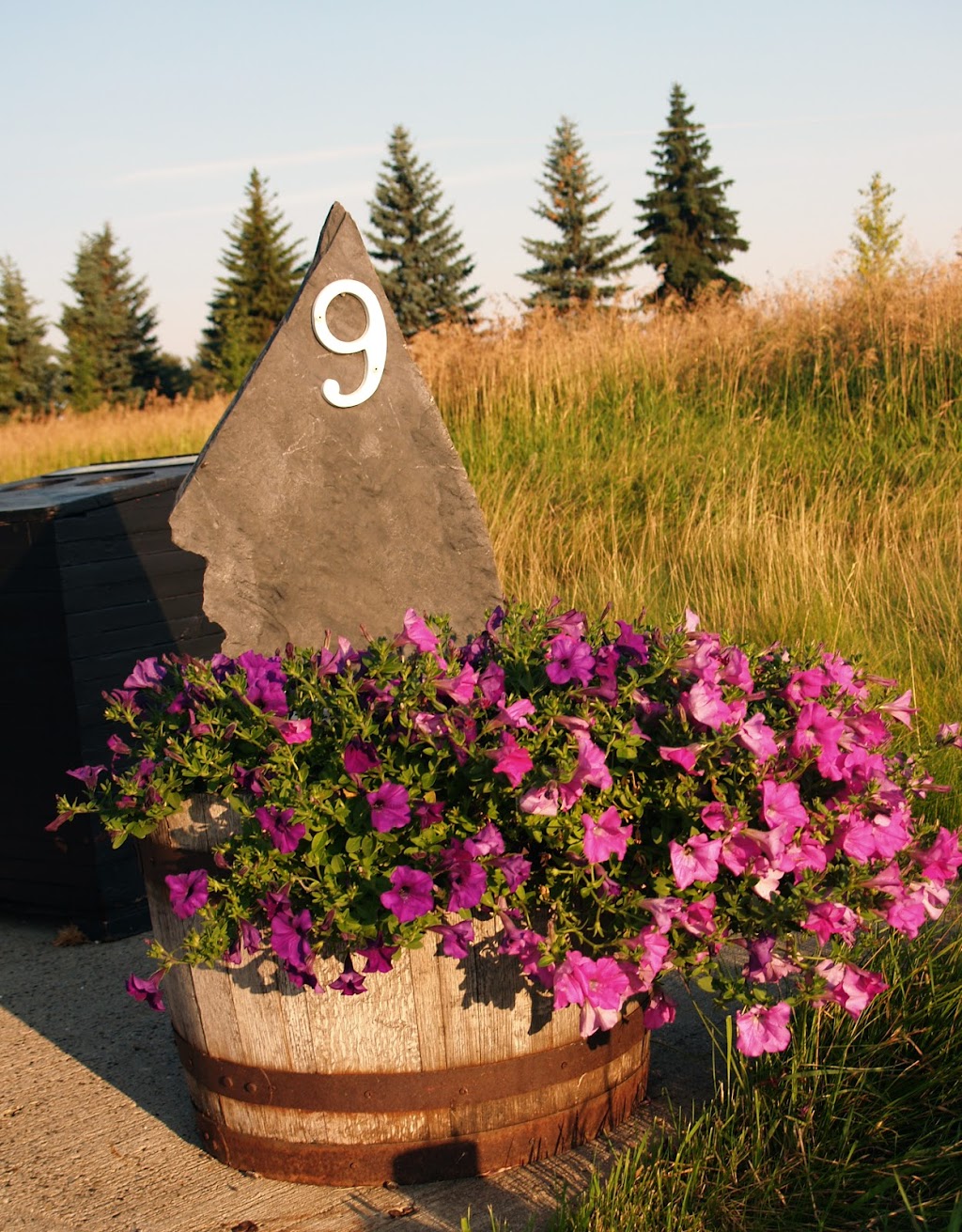 The Ranch Golf & Country Club | 9574 Pinchback Rd, Acheson, AB T7X 5A2, Canada | Phone: (780) 470-4700