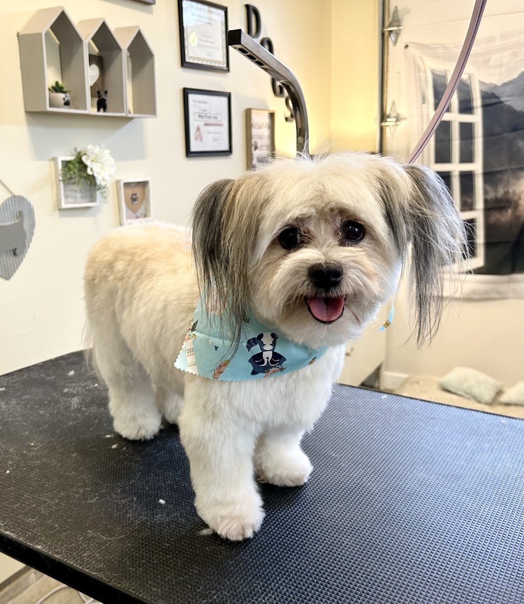 Muddy Paws Harrison’s Grooming Studio | 522 Driftwood Ave, Harrison Hot Springs, BC V0M 1K0, Canada | Phone: (604) 798-6181