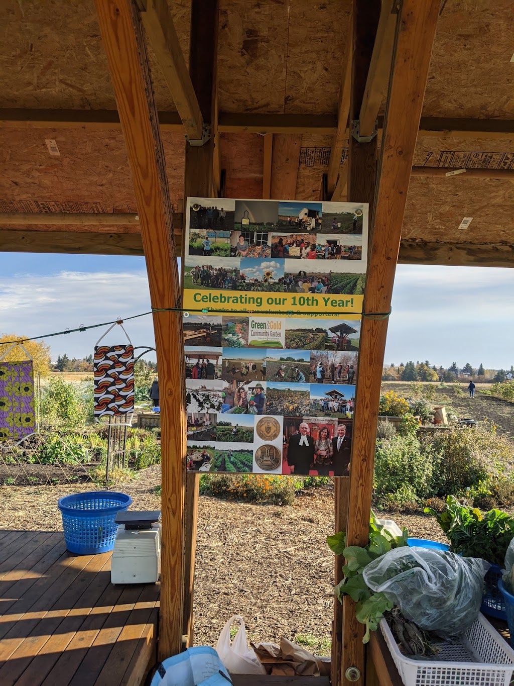 Green and Gold Community Garden | 118 St NW, Edmonton, AB T6H 2V8, Canada | Phone: (780) 492-4087
