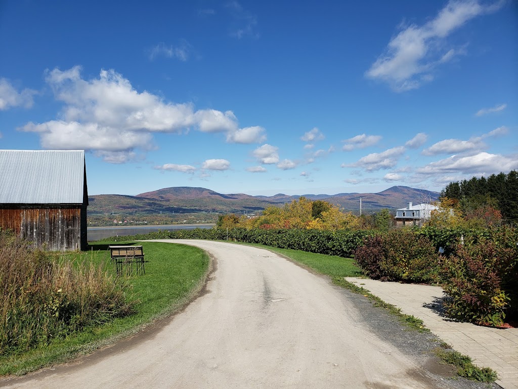 Le Vignoble du Mitan | 2608 Chem. Royal, Sainte-Famille, QC G0A 3P0, Canada | Phone: (418) 829-0901