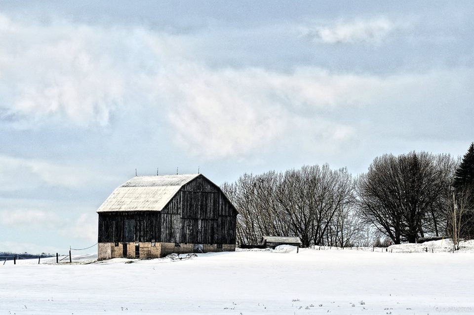 Cindy Snow - Forest Hill Real Estate Inc., Brokerage | Lakeshore Rd E, Hawkestone, ON L0L 1T0, Canada | Phone: (705) 229-7321
