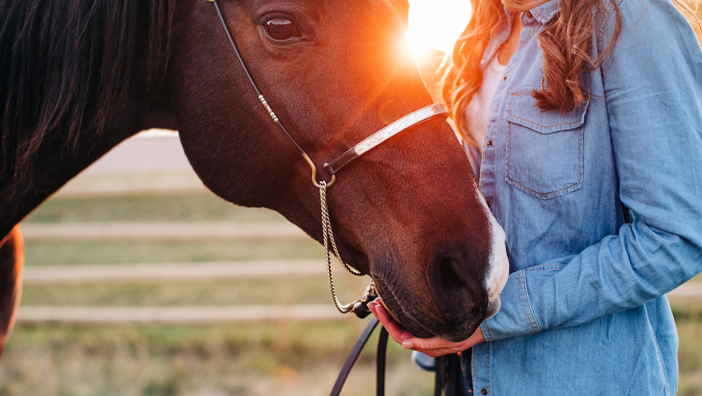 The Yeg Equestrian | 13007 208 St NW, Edmonton, AB T5V 1T8, Canada | Phone: (780) 863-5599