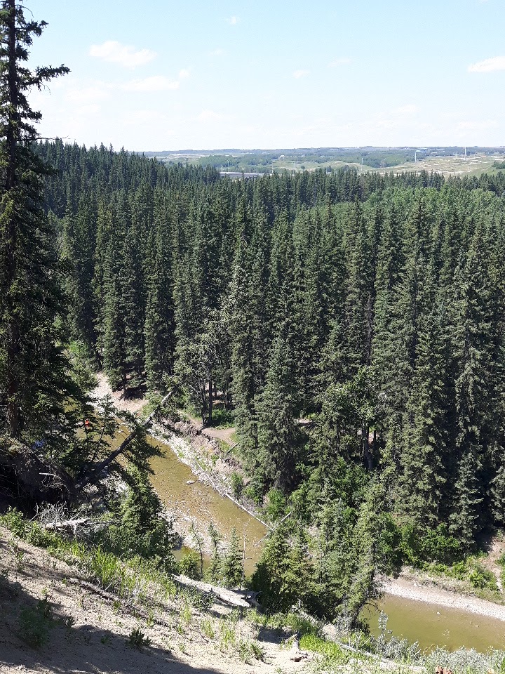 Fish Creek Environmental Learning Center | 15931 Woodpath Rd SW, Calgary, AB T2W 5M1, Canada
