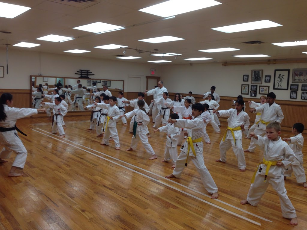 World Class Karate | 2485 Dunwin Dr #2, Mississauga, ON L5L 1T1, Canada | Phone: (416) 315-0187