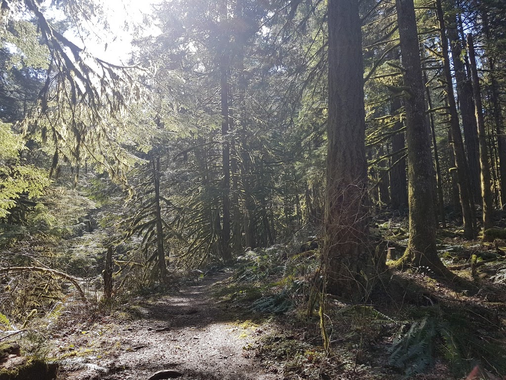 Cultus Lake Provincial Park | 3179 Columbia Valley Hwy, Cultus Lake, BC V2R 5A3, Canada