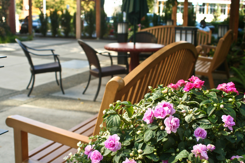 Marrion Village | 1968 Bee St, Victoria, BC V8R 6P6, Canada | Phone: (250) 592-2231