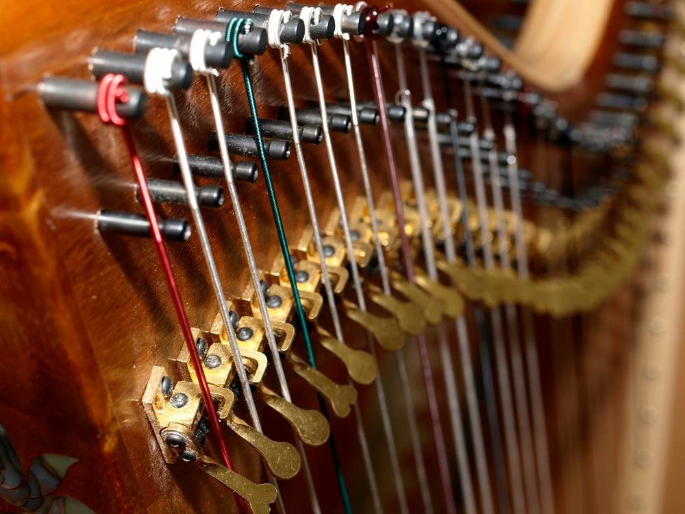 Oceanside Piano and Harp Studio | 1020 Stahley Pl, Parksville, BC V9P 0C5, Canada | Phone: (250) 248-9619