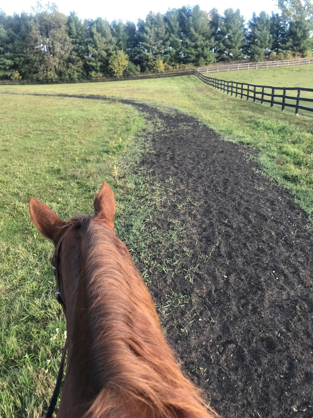 Trailwood Farms | 15276 Dixie Rd, Inglewood, ON L7C 2M3, Canada | Phone: (519) 803-8683
