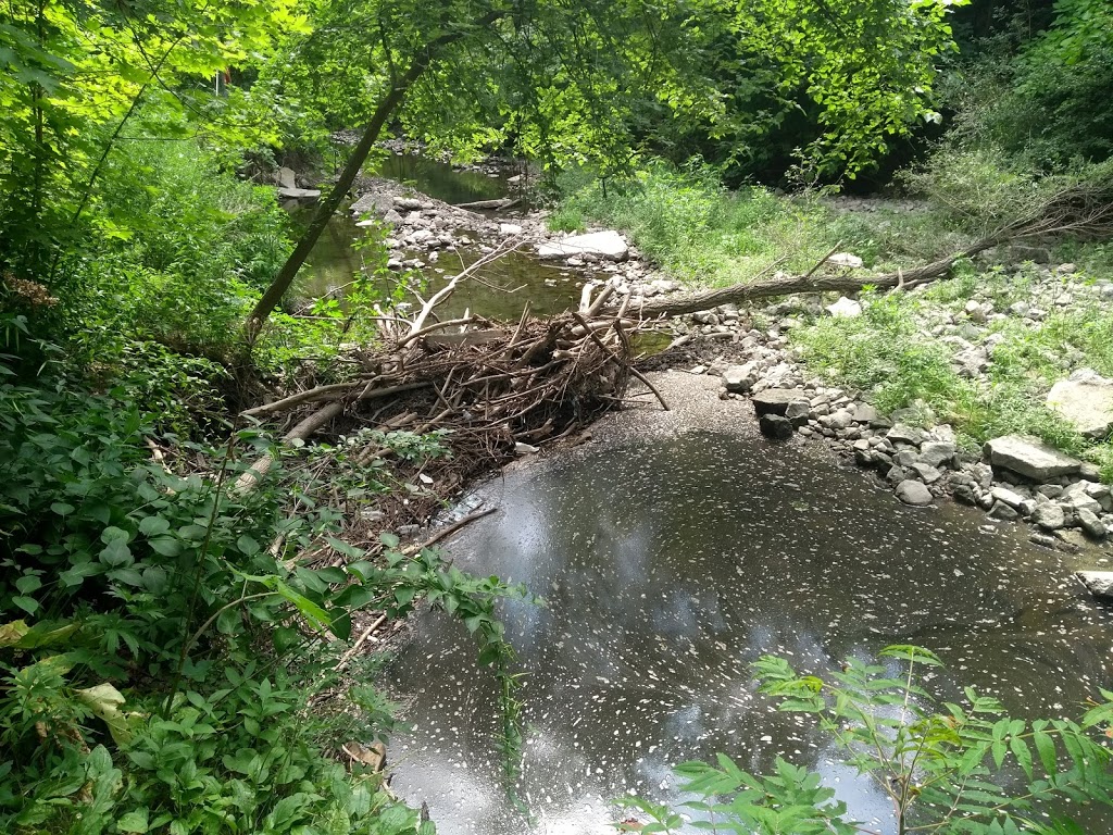 Gus Harris Trail | Gus Harris Trail, Scarborough, ON M1L 3E7, Canada
