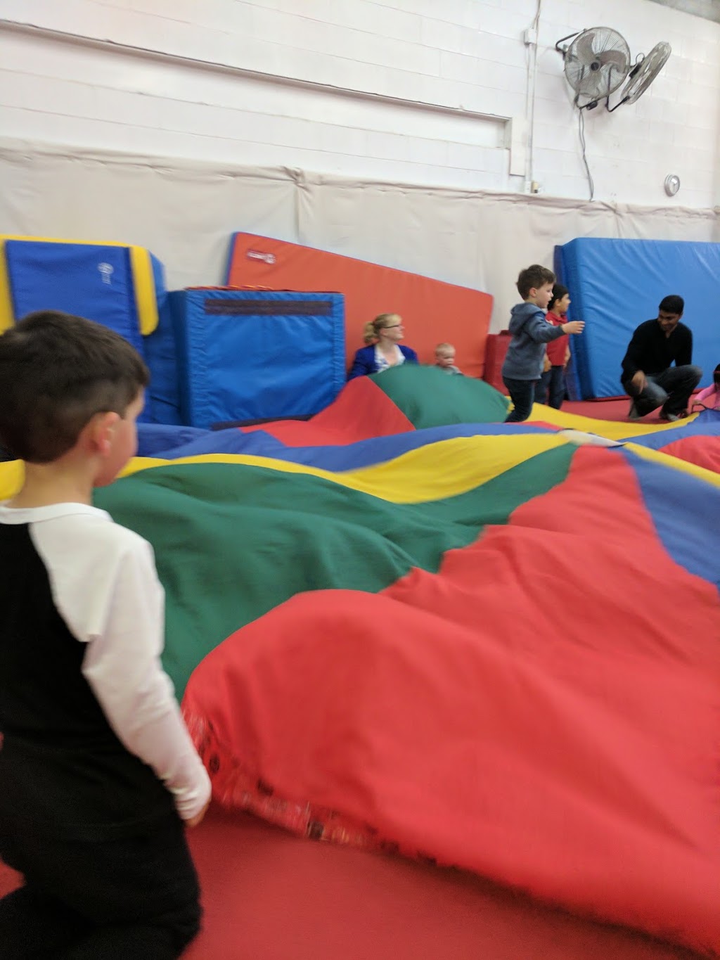 Aspire Gymnastics | 183 S Service Rd Unit 3, Grimsby, ON L3M 4H6, Canada | Phone: (289) 442-8286