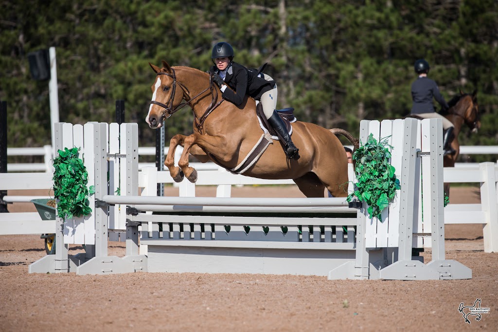 Crailin Stables | 14722 Heart Lake Rd, Inglewood, ON L7C 2J7, Canada | Phone: (519) 375-2337