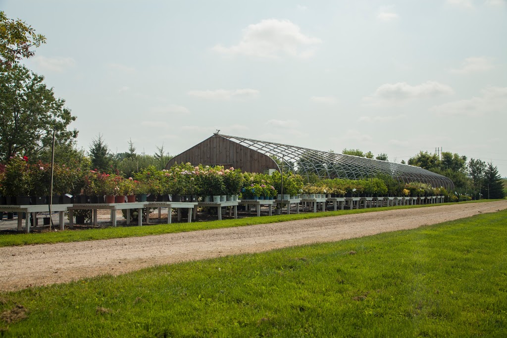 Greenview Nursery | 7223 3 Line, Elmira, ON N3B 2Z3, Canada | Phone: (519) 669-8583