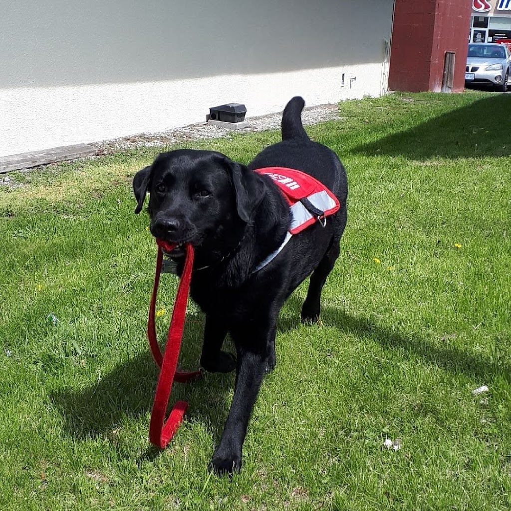 Pet Valu | 1380 London Rd, Sarnia, ON N7S 1P8, Canada | Phone: (519) 541-0468