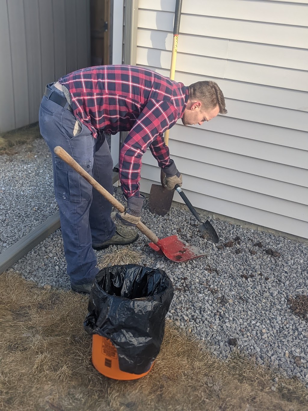 Poo Pickers | 2115 118 St NW Unit 14, Edmonton, AB T6J 5N1, Canada | Phone: (587) 988-8888