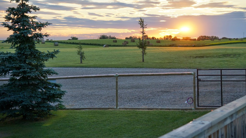 Wet Noses | 223042 AB-24, Carseland, AB T0J 0M0, Canada | Phone: (403) 901-2120