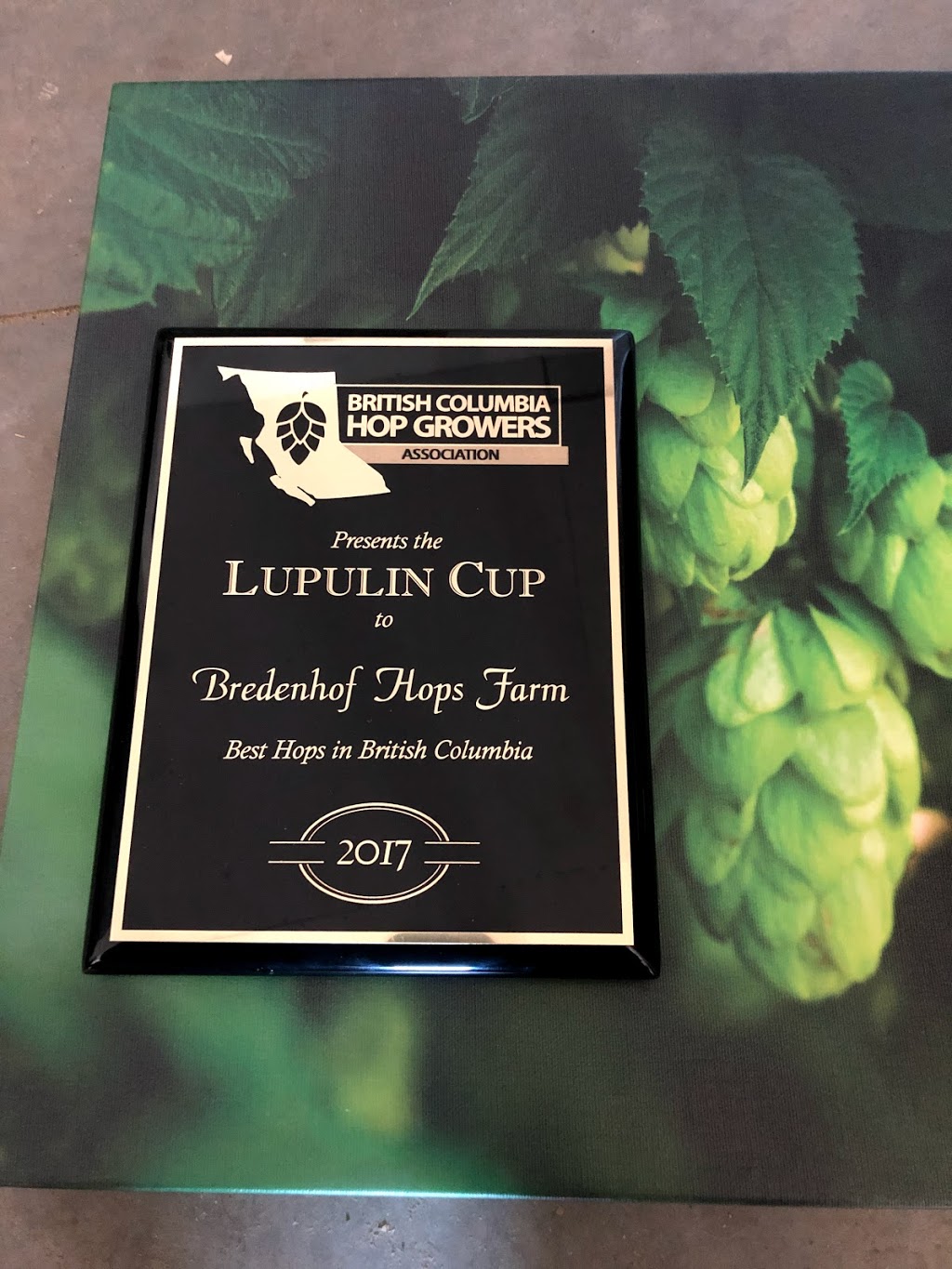 Bredenhof Hop Farms | 4109 Boundary Rd, Abbotsford, BC V3G 2N3, Canada | Phone: (604) 302-4954