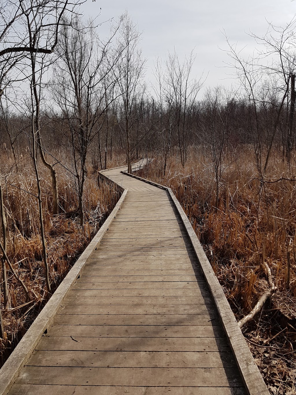 Sudden Tract | 1841 Spragues Rd, Cambridge, ON N1R 5S5, Canada