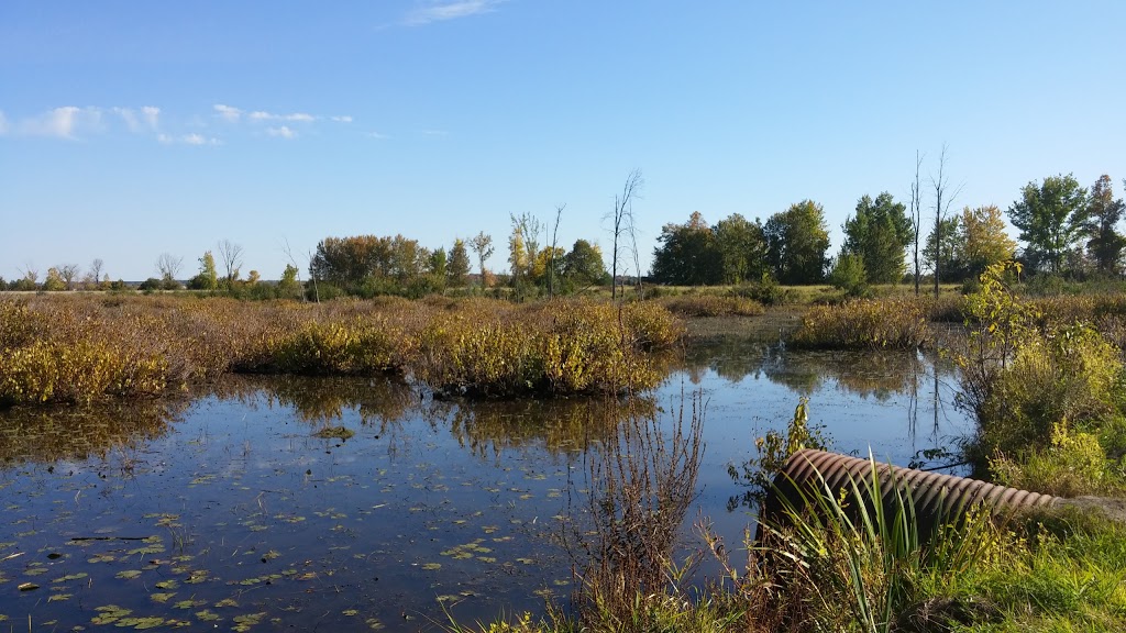 Parc national de Plaisance | 1001 Chemin de la Grande Presquîle, Plaisance, QC J0V 1S0, Canada | Phone: (800) 665-6527