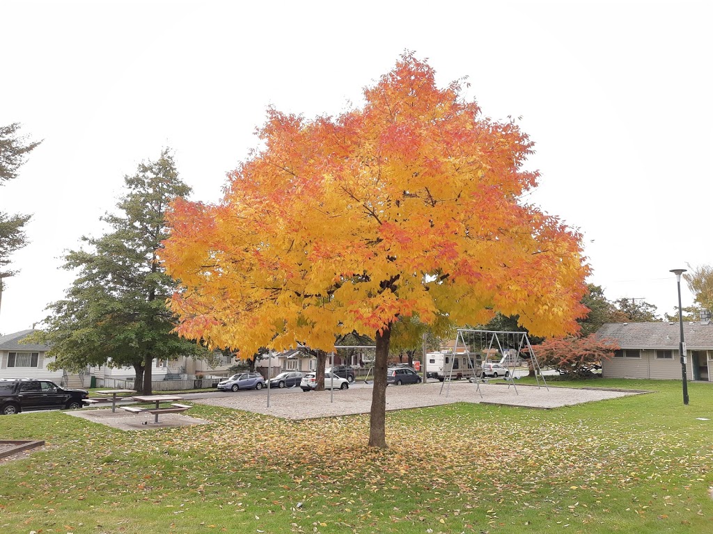 Ross Park | 7402 Ross St, Vancouver, BC V5X 4B7, Canada | Phone: (604) 873-7000