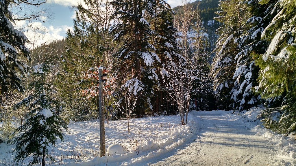 Mulvehill Creek Wilderness Inn & Wedding Chapel | 4200 Highway 23 South, Revelstoke, BC V0E 2S0, Canada | Phone: (250) 837-8649