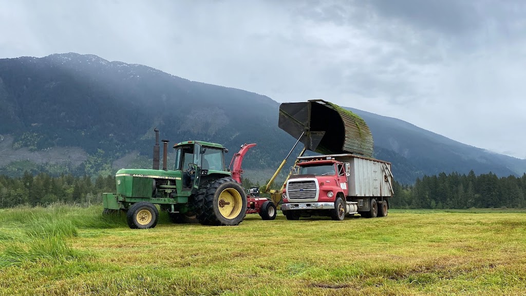 The Cabin at Shannon Farms | 8865 Beaver Creek Rd, Port Alberni, BC V9Y 8N8, Canada | Phone: (250) 720-5867