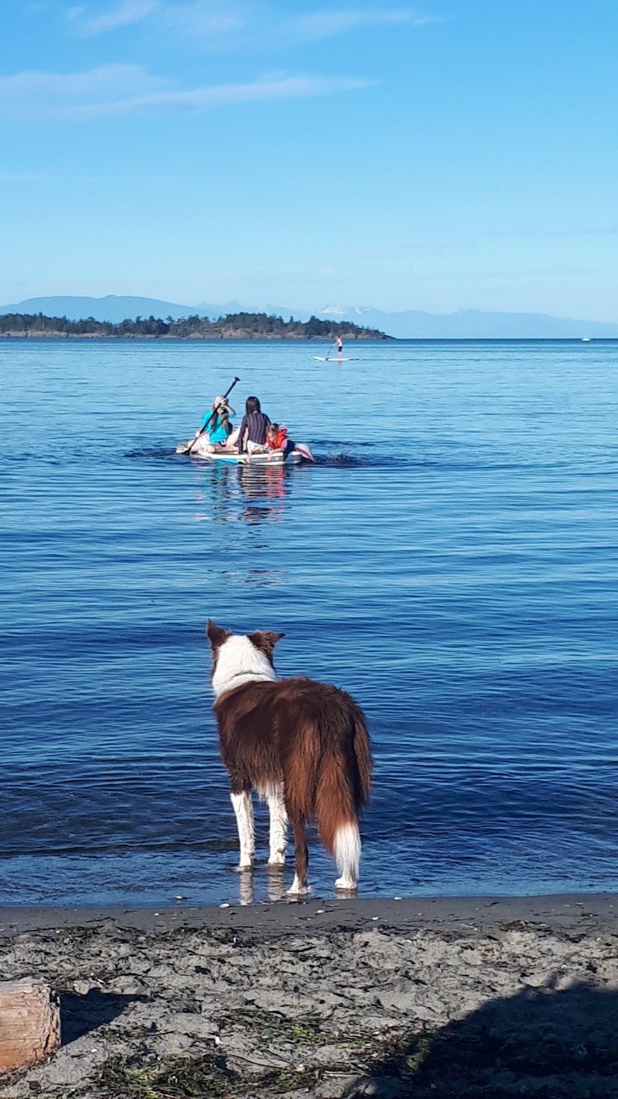 Pacific Tide Beach House | 1095 Tanglewood Pl, Parksville, BC V9P 2E2, Canada | Phone: (778) 861-0333