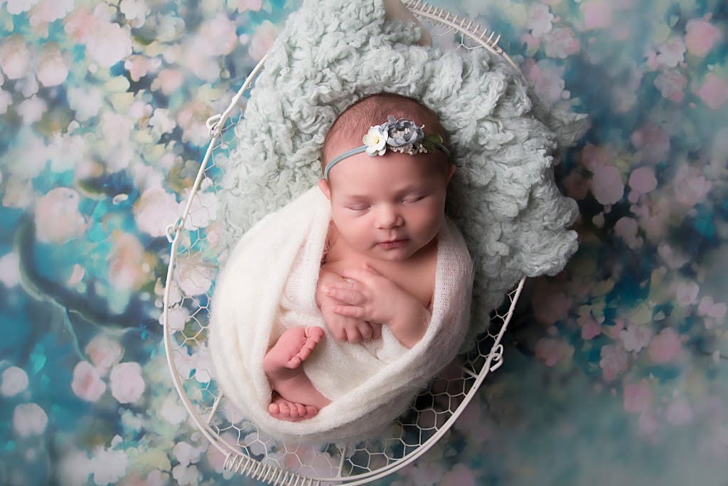 Family Tree Photography | Delrex Blvd, Georgetown, ON L7G 4E9, Canada | Phone: (416) 319-3779