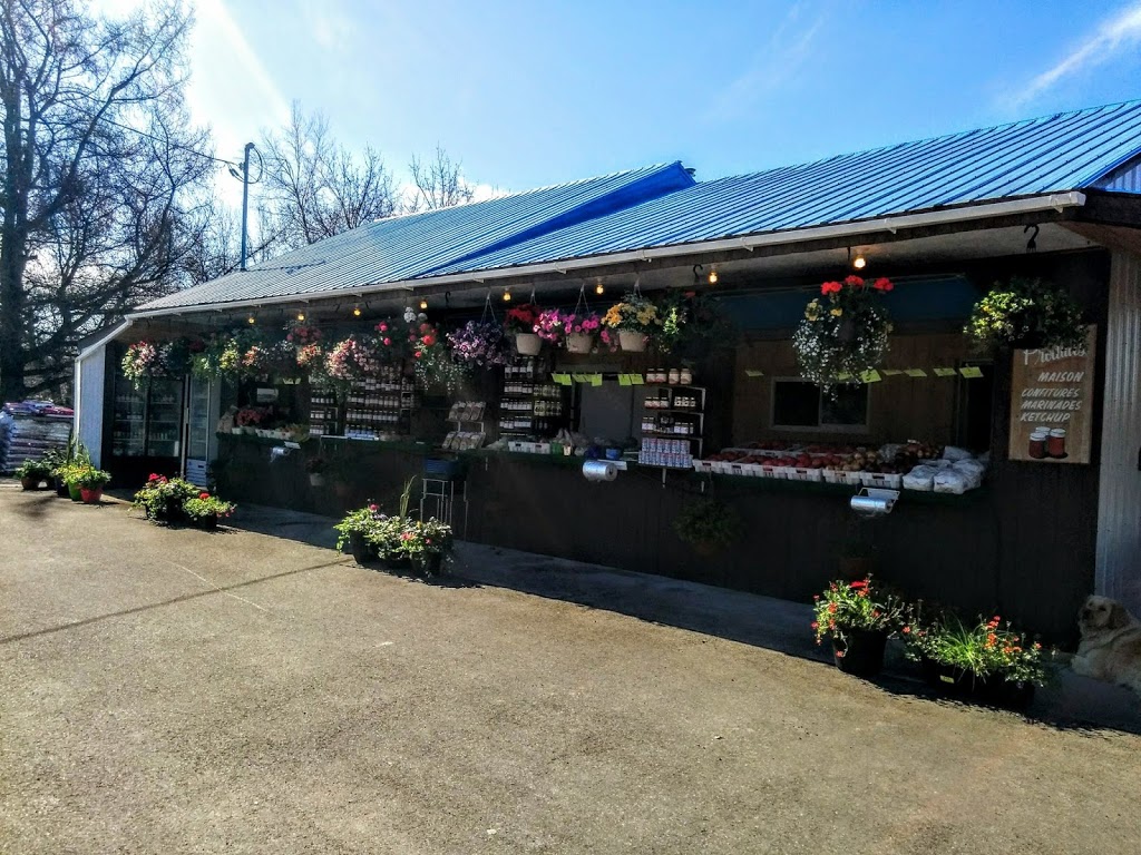 Ferme Levasseur Desmarais | 291 Chemin Montcalm, Sainte-Marie-Salomé, QC J0K 2Z0, Canada | Phone: (450) 839-3083