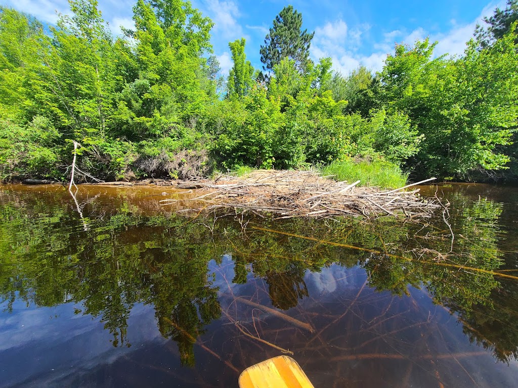 Algonquins Edge Resort | 24909 ON-60, Whitney, ON K0J 2M0, Canada | Phone: (416) 951-1230