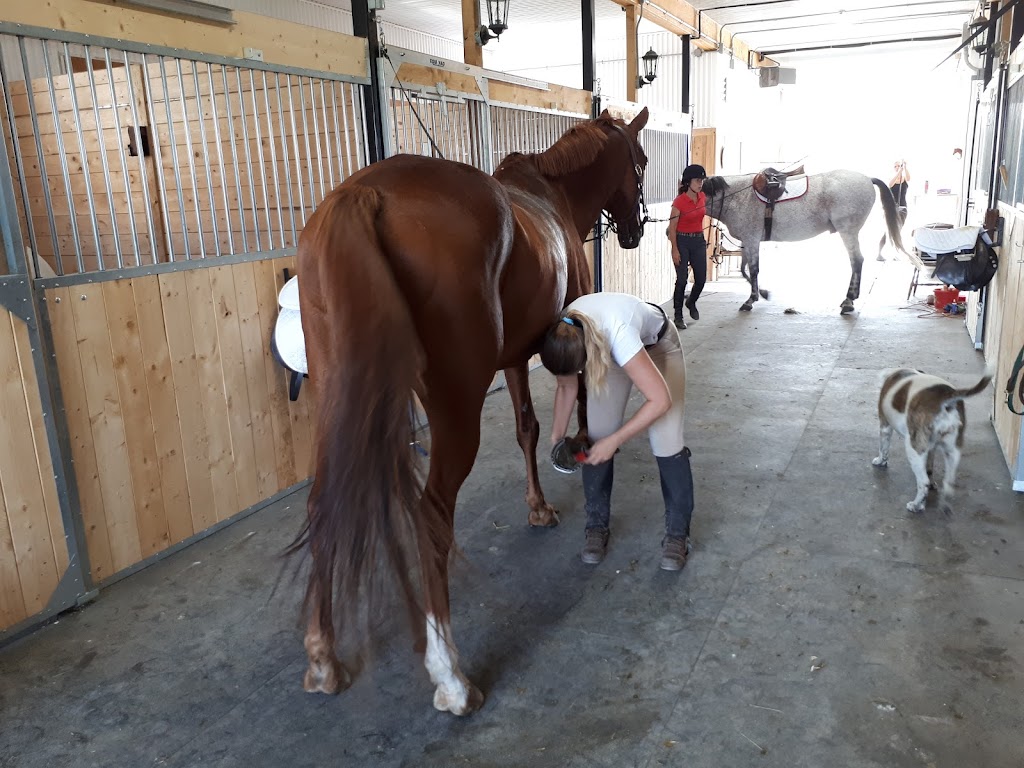 Ferme Willowbrook Farm (École déquitation classique) | 9125 Rue St Vincent, Mirabel, QC J7N 2V5, Canada | Phone: (514) 606-3327