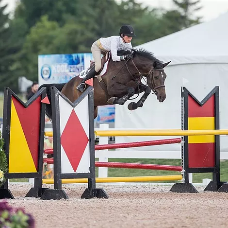 Cambrian Equestrian Centre | Windy Hill Farm, 1046 Ramsay Concession 8, Carleton Place, ON K7C 3P1, Canada | Phone: (613) 302-8821