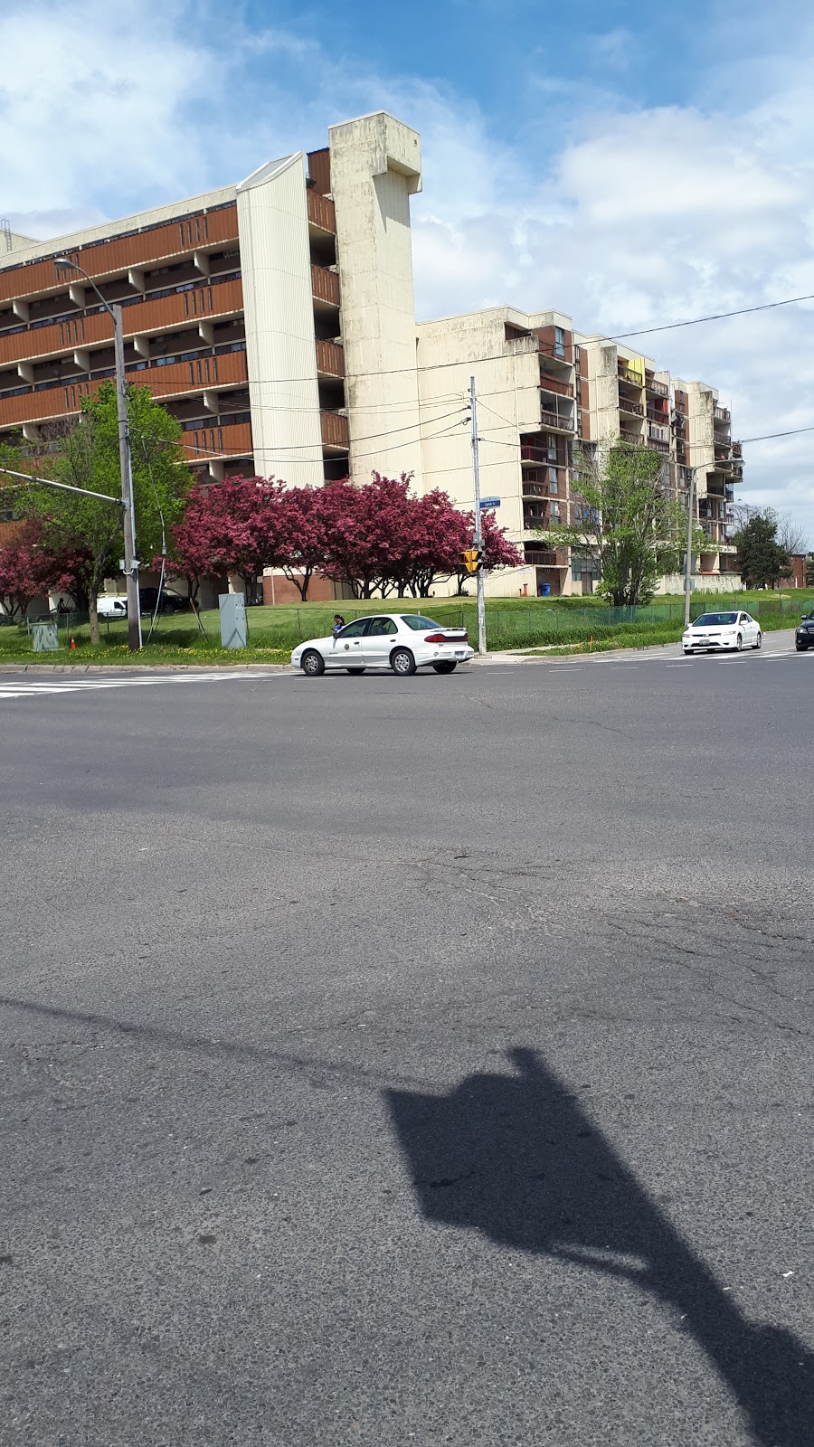 Brookview Middle School | 4505 Jane St, North York, ON M3N 2K7, Canada | Phone: (416) 395-2120