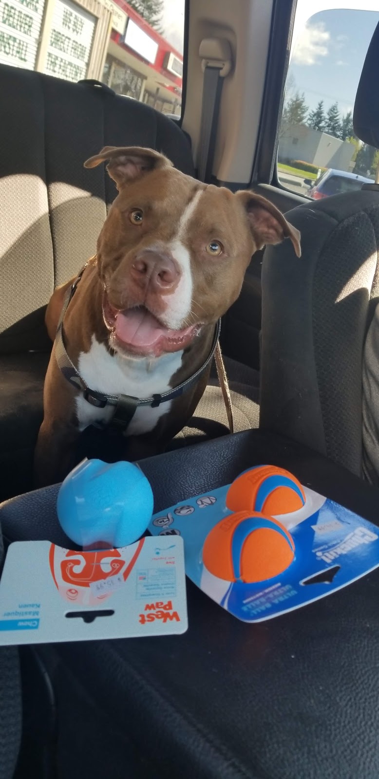 Bosleys by Pet Valu | 22745 Dewdney Trunk Rd, Maple Ridge, BC V2X 3K4, Canada | Phone: (604) 463-3855