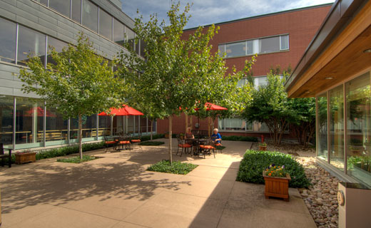 Malton Village Long Term Care | 7075 Rexwood Rd, Mississauga, ON L4T 4M1, Canada | Phone: (905) 293-9663