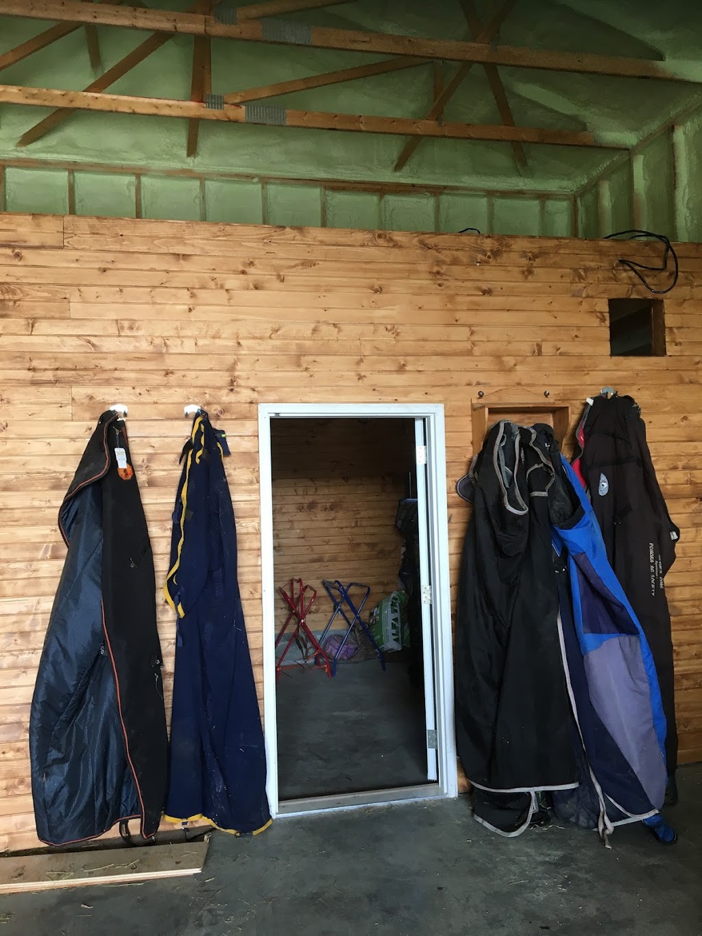 Spark Performance Horses | 28022 Twp Rd 545, Calahoo, AB T8R 2C1, Canada | Phone: (780) 994-2996