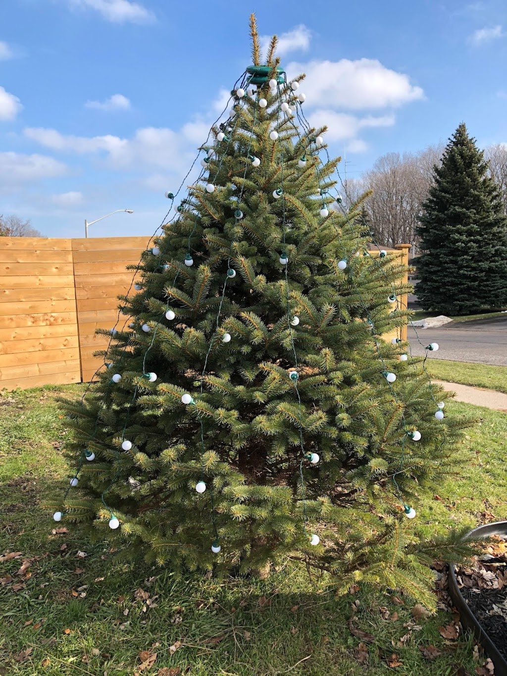 J Ayers Trees and Landscaping | 3695 Fairgrounds Rd, Severn, ON L3V 0Y2, Canada | Phone: (705) 323-5968