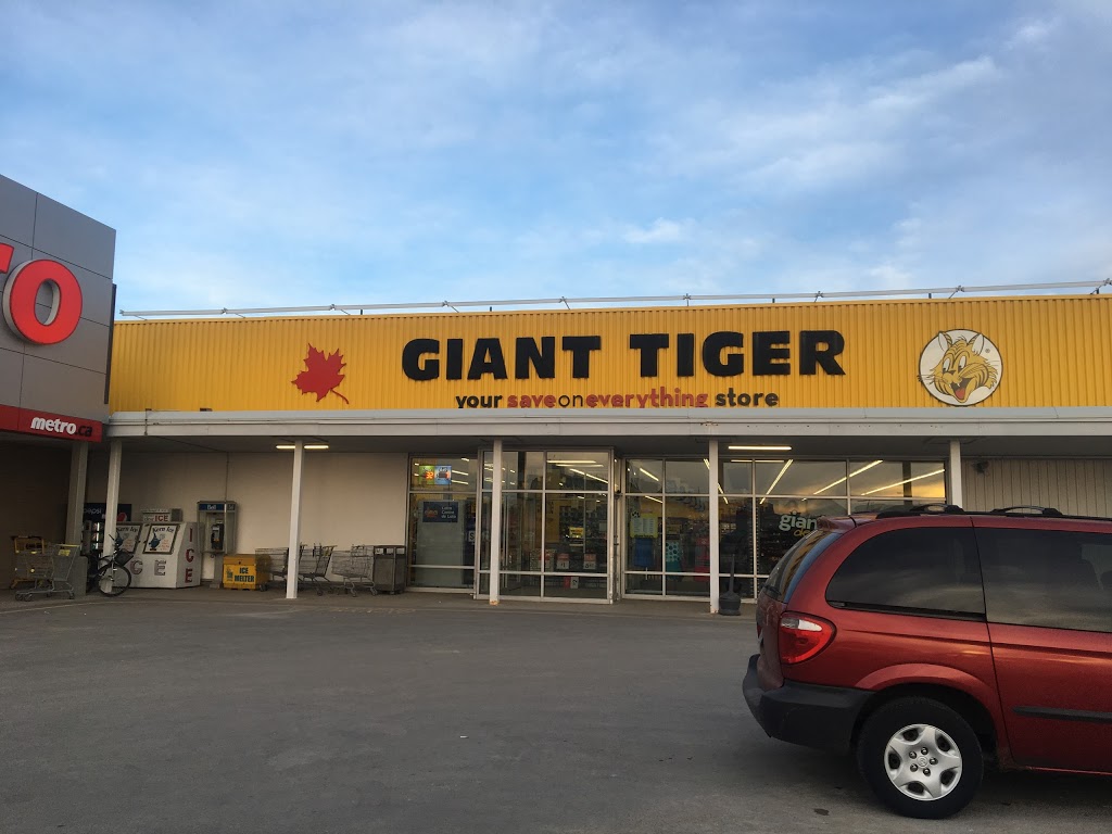 Giant Tiger | clothing store | 560 Exmouth St, Sarnia, ON N7T 5P5, Canada | 5193360831 OR +1 519-336-0831