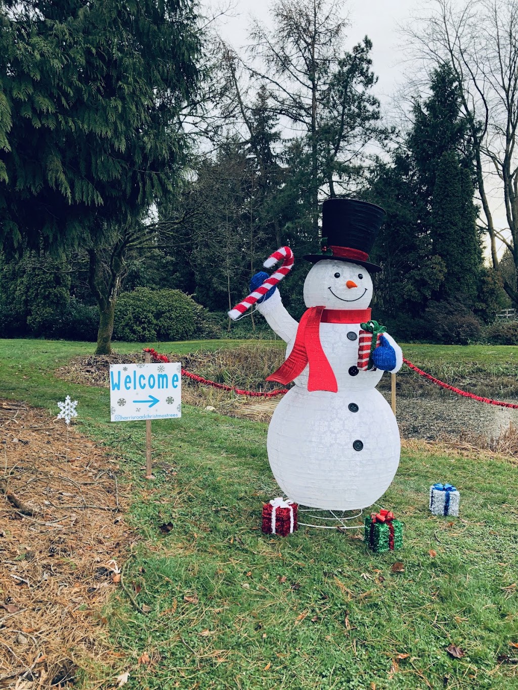 Harris Road Christmas Tree Farm | 13533 Harris Rd, Pitt Meadows, BC V3Y 2T3, Canada | Phone: (604) 460-9500