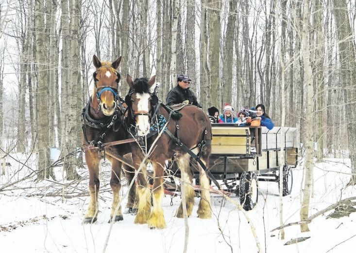 McCullys Hill Farm Market | 4074 Line 9, St. Marys, ON N4X 1C5, Canada | Phone: (519) 284-2564
