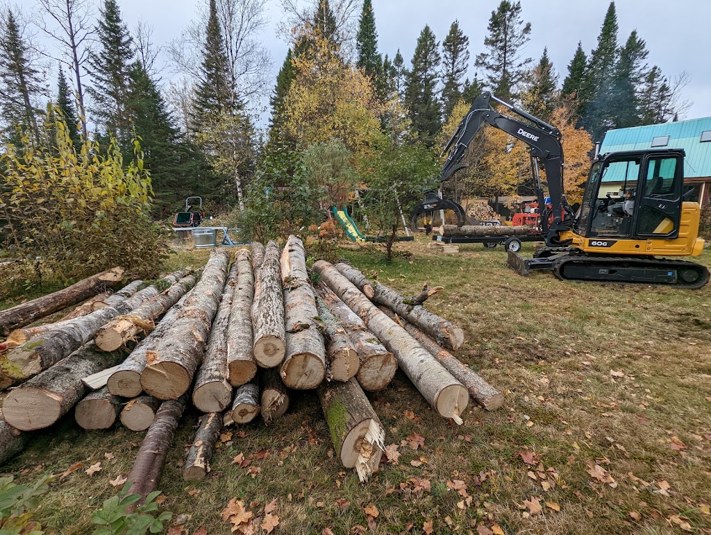 LE PETIT FORESTIER | 500 Chem. Gillespie, Sainte-Agathe-des-Monts, QC J8C 0X6, Canada | Phone: (514) 238-0666
