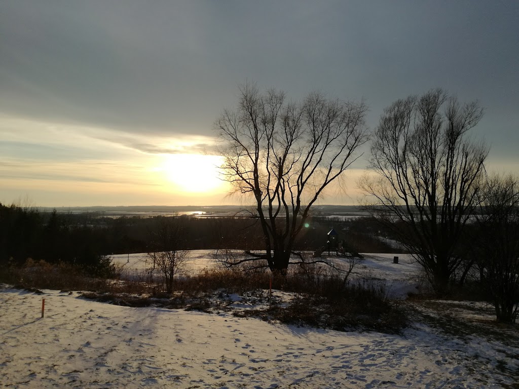 Vista Park | 68 W Park Heights, Keswick, ON L4P 3T9, Canada | Phone: (905) 476-4301 ext. 2354