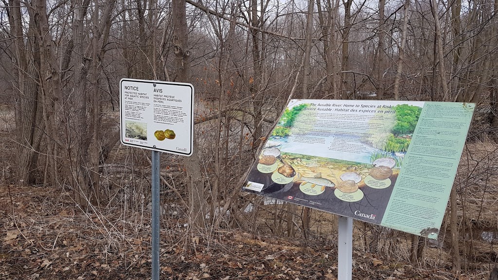 Lucan Conservation Area | Ailsa Craig, ON N0M 2J0, Canada