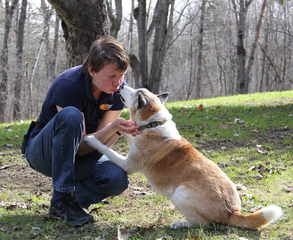 Paragon Pooch CPDT-KA | 80 Chemin Moulton Hill, Sherbrooke, QC J1M 2K4, Canada | Phone: (819) 919-3486