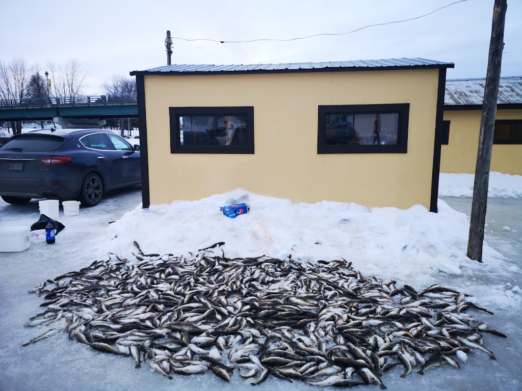 Centre de Pêche Grimard | 915 2e Av, Sainte-Anne-de-la-Pérade, QC G0X 2J0, Canada | Phone: (418) 325-2220