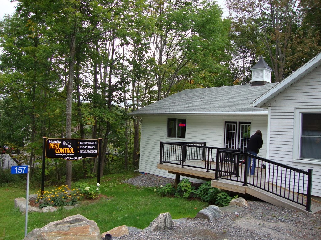 Muskoka Pest Control - The Carpenter Ant Experts | 157 Medora St, Port Carling, ON P0B 1J0, Canada | Phone: (705) 765-5199