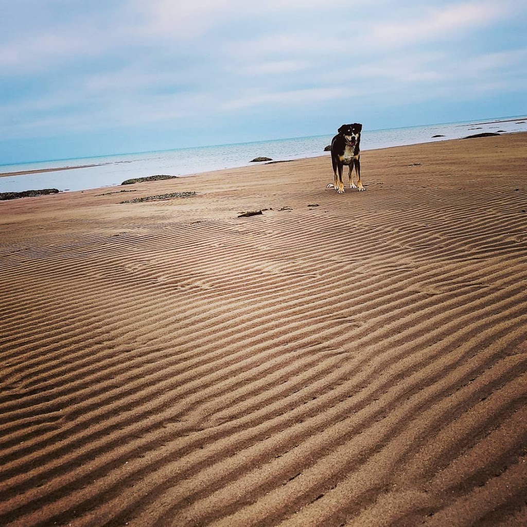 Blue Anchor Getaway | 103 Dixon Loop Rd, Malden, NB E4M 1W7, Canada | Phone: (604) 365-9611