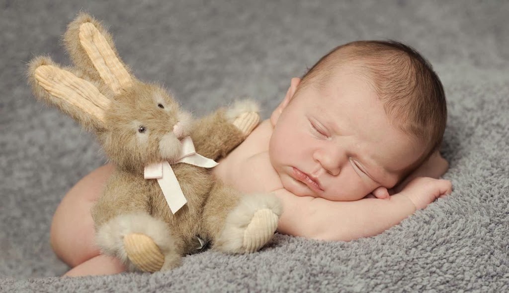 Michelle Francis Photography | 64 Spencer Ave, Orangeville, ON L9W 5E7, Canada | Phone: (519) 938-9344