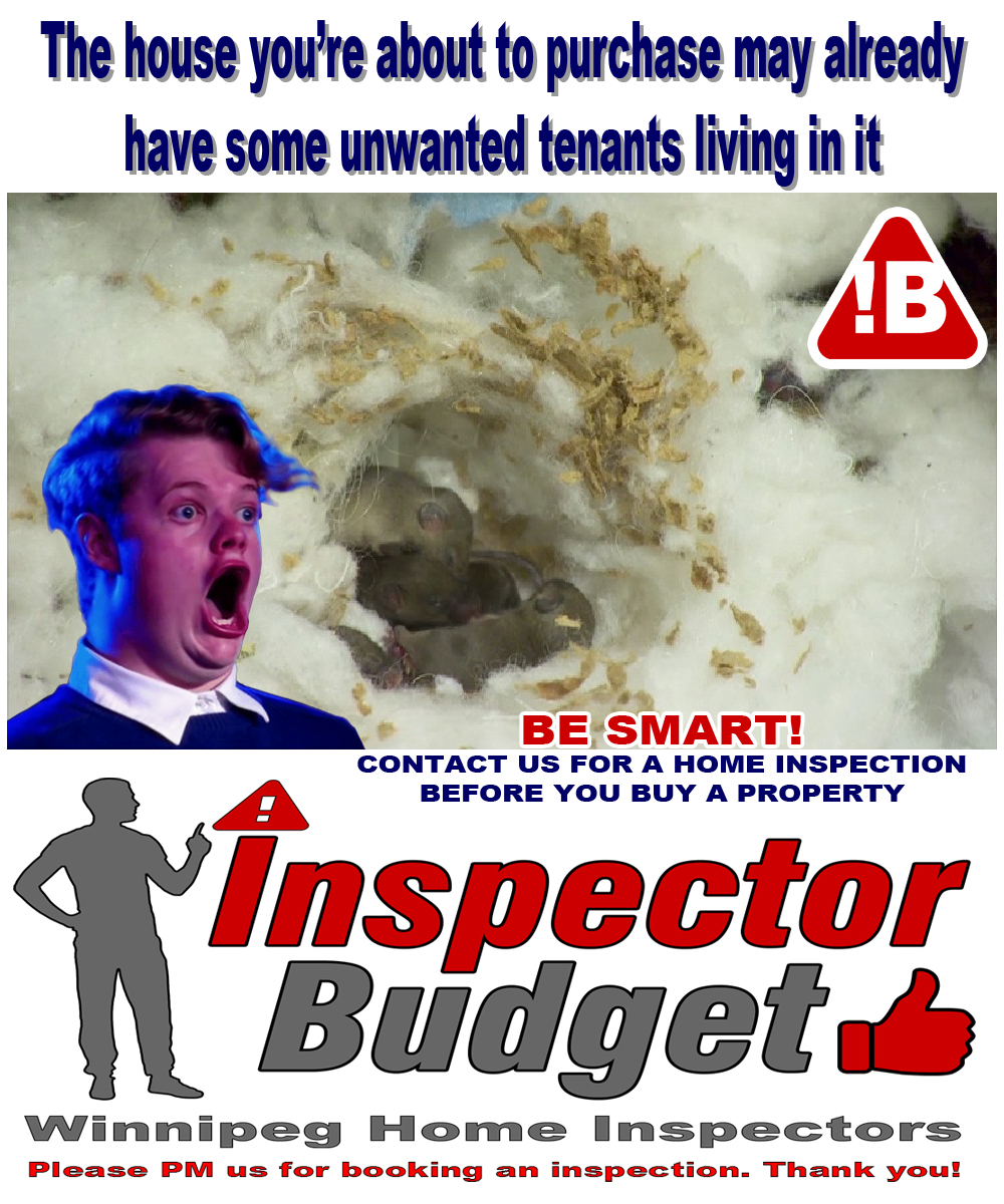 Inspector Budget | 447 College Ave, Winnipeg, MB R2W 1M6, Canada | Phone: (204) 869-3088