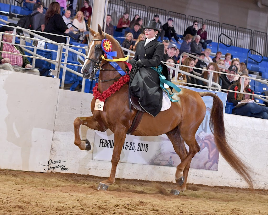 Ehret Equine | Range Rd 265, Falun, AB T0C 1H0, Canada | Phone: (780) 352-0332