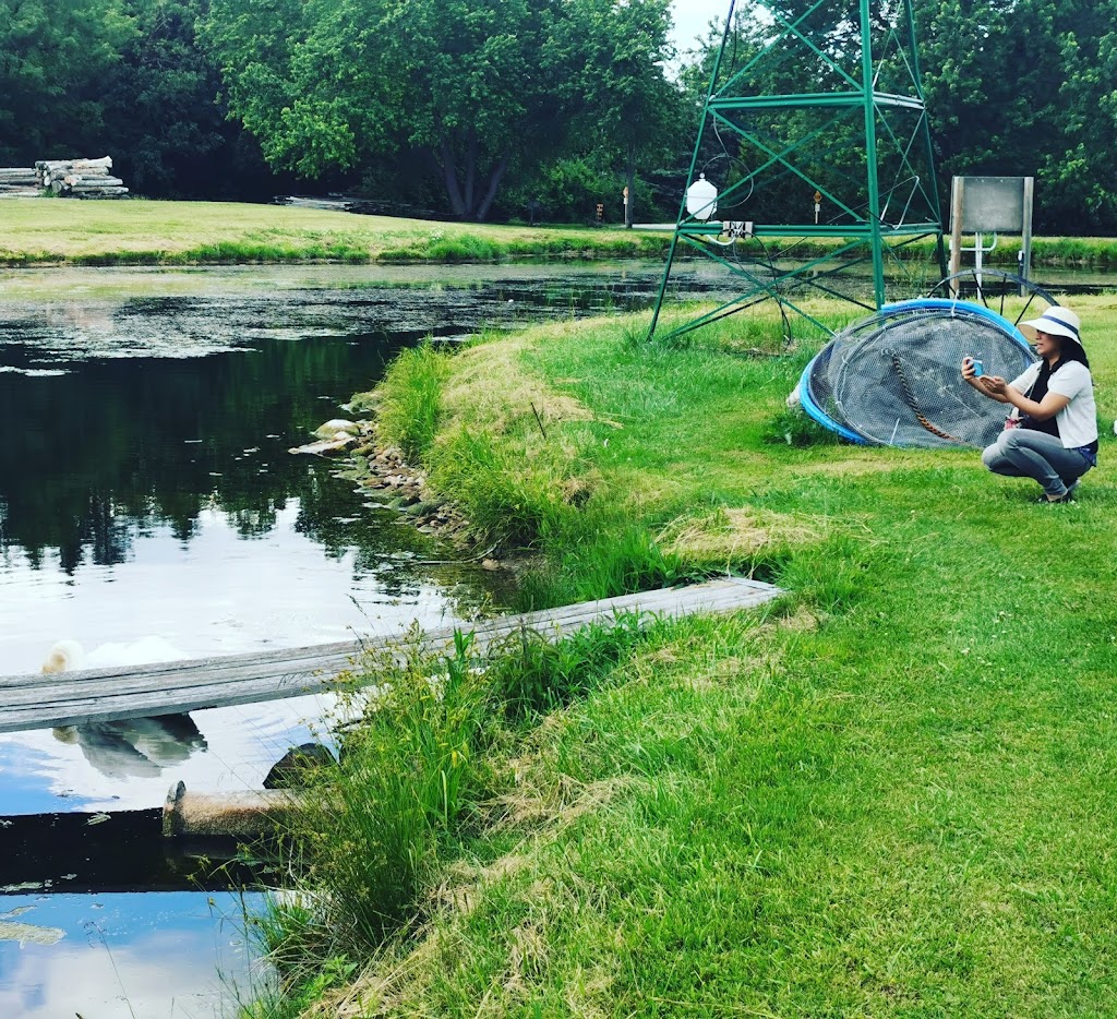 Silvercreek Aquaculture Inc | 8 Mountainview Crescent, Erin, ON N0B 1T0, Canada | Phone: (519) 833-2559